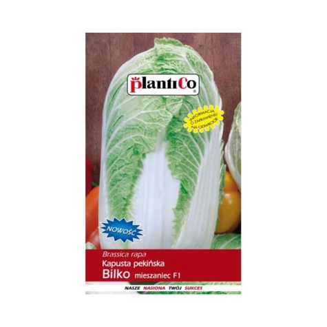 Kapusta pekińska Bilko F1 późna 0,15g inkrustowane