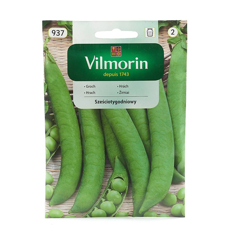 Groch łuskowy Sześciotygodniowy Wczesny 40g