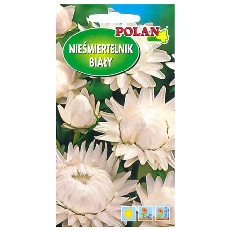 Nieśmiertelnik/ Kocanka biała 1g