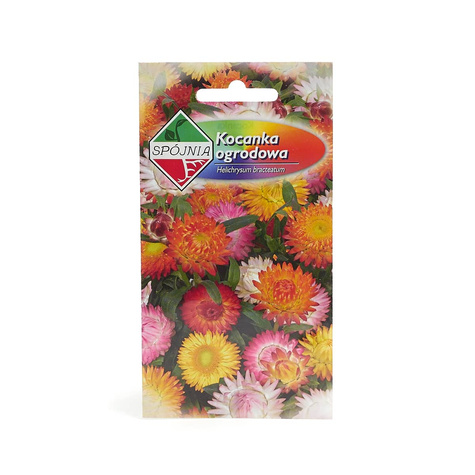 Kocanka ogrodowa mix 1g