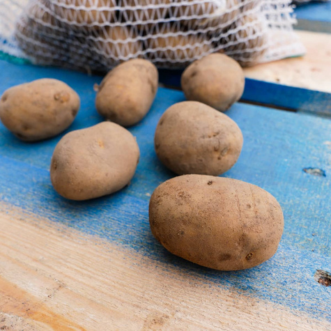 Ziemniak Queen Anne 1kg