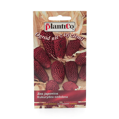 Kukurydza ozdobna Truskawkowa 2g