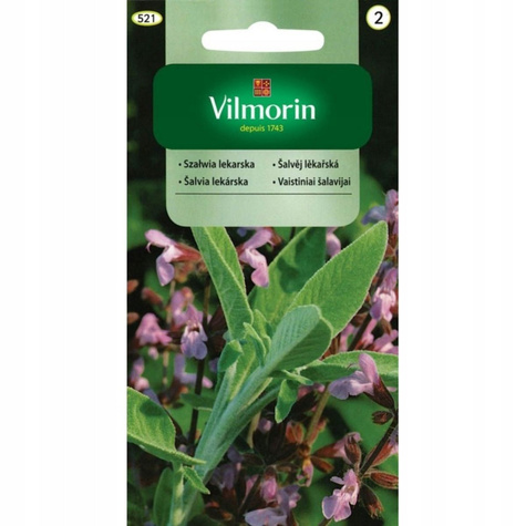 Szałwia lekarska 1g