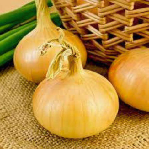 Cebula Wega mieszaniec 100g