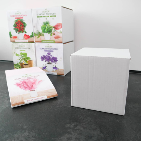 Zestaw do uprawy Żywe kamienie szczęścia sukulenty Zestaw DIY