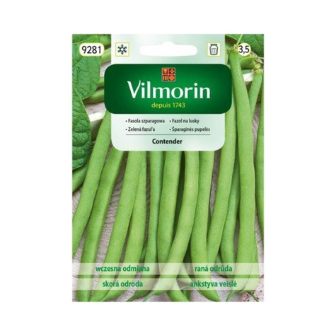Fasola szparagowa zielona karłowa Contender 30g