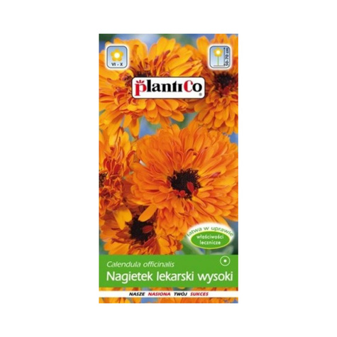 Nagietek lekarski wysoki pomarańczowy 2g