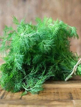 Koper ogrodowy Lukullus wczesny 5g