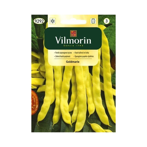 Fasola szparagowa żółtostrąkowa tyczna bezłykowa Goldmarie 10g