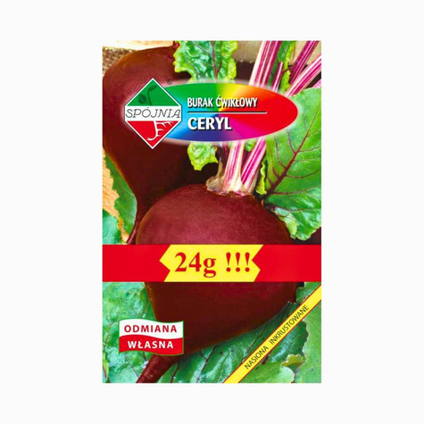 Burak ćwikłowy 24g Spójnia