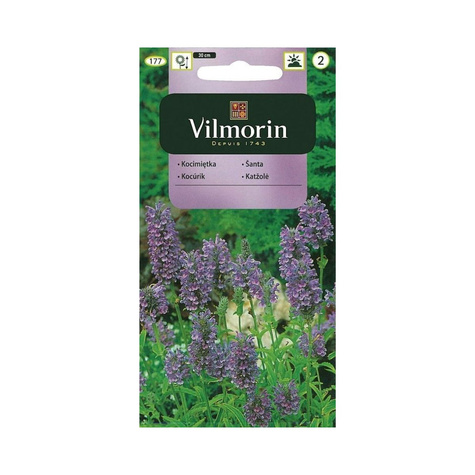 Kocimiętka 0,5g Vilmorin