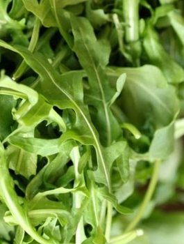 Rucola Rukola - 0,5 g