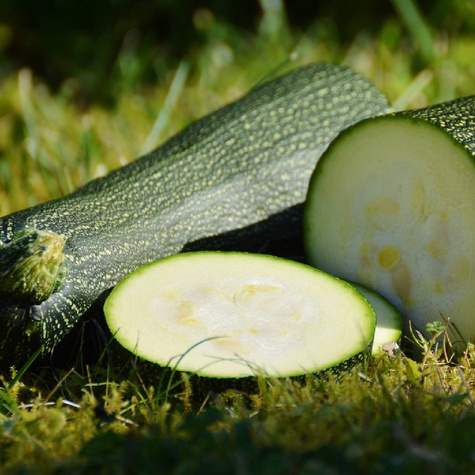 BIO Cukinia Black Beauty 2g