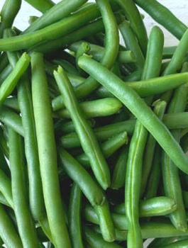 Fasola szparagowa zielona karłowa bezłykowa Oxinel 30g
