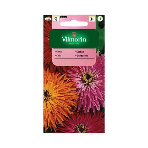 Cynia wytworna chryzantemowa mix 1g