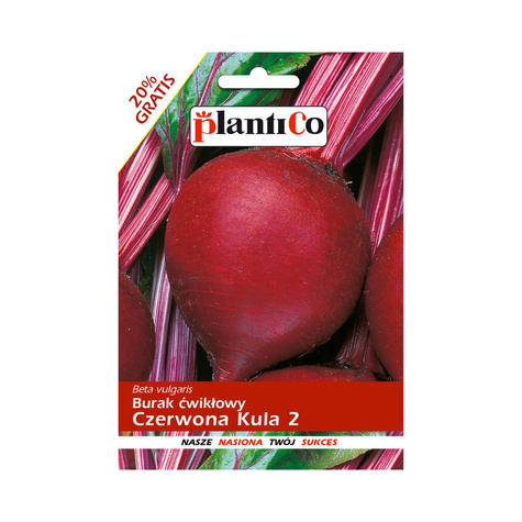 ZESTAW ALLEGRO Burak ćwikłowy Czerwona Kula 10+2g