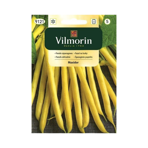Fasola szparagowa żółta karłowa bezłykowa Maxidor 30g