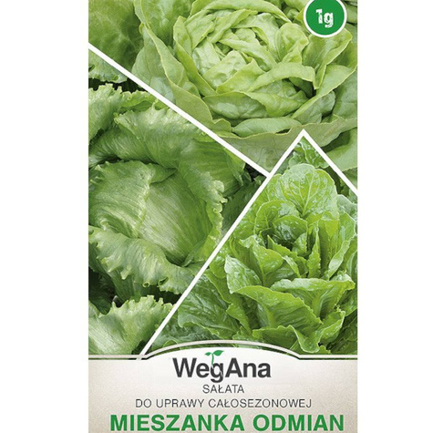 Sałata mieszanka odmian zielonych 1g WegAna
