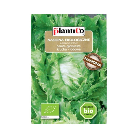 Sałata krucha Regina Bio wczesna 0,5g