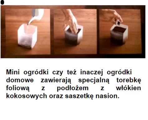 Miniogródek Melisa lekarska Vilmorin 0,3g