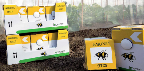 Natupol Seeds Ul z trzmielami do małych upraw 6szt
