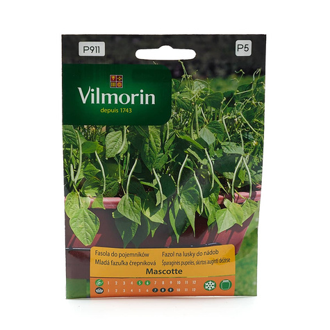 Fasola szparagowa zielona karłowa bezłykowa Mascotte 20g