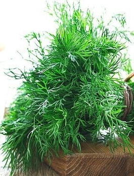 Koper ogrodowy Kozak wczesny 100g