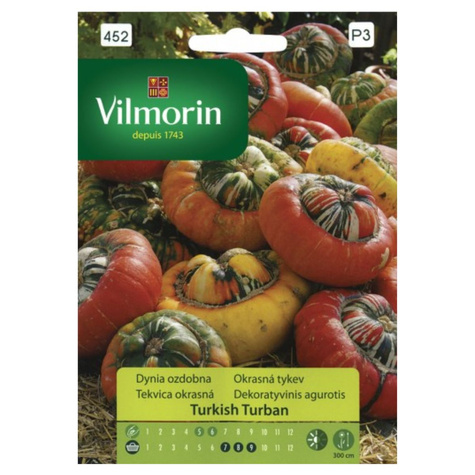 Dynia ozdobna Turkish Turban 2g