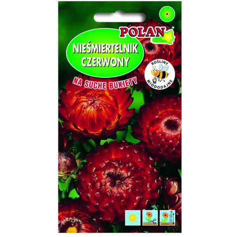 Nieśmiertelnik/ Kocanka winno-czerwona 1g