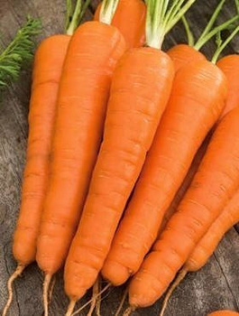 Marchew jadalna Koral późna 500g