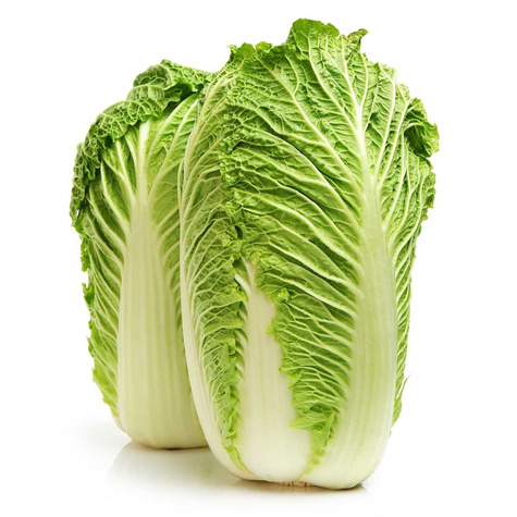 Kapusta pekińska BRISTOL wczesna 2g