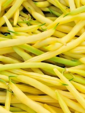 Fasola szparagowa karłowa BASTA 50g