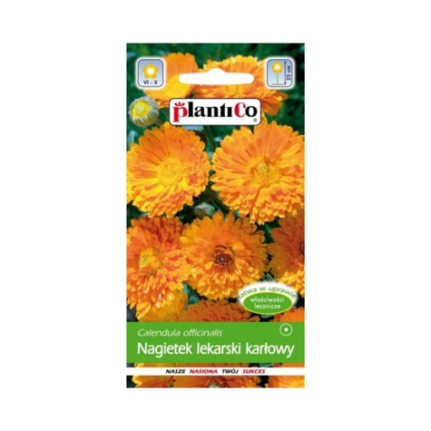 Nagietek lekarski niski pomarańczowy 2g