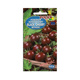 Pomidor gruntowy do pojemników Black Cherry 0,1g koktajlowy 