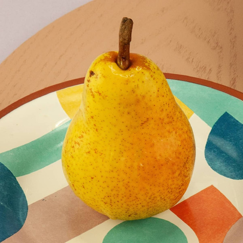 Grusza Soczysty miękki owoc Plant Pack