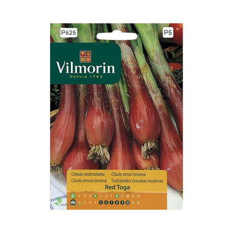Cebula siedmiolatka Red Toga czerwona zimująca 1g