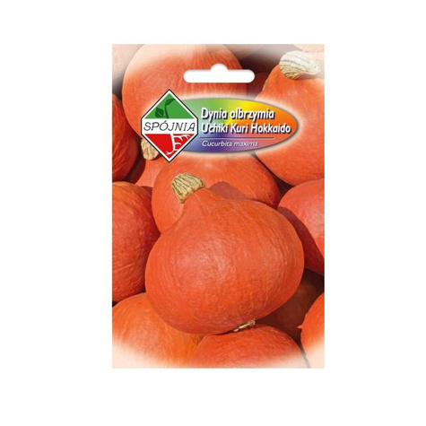 Dynia olbrzymia Uchiki Kuri 2g