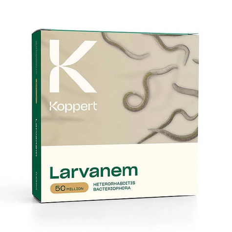 Larvanem 50 mln pożytecznych nicieni 