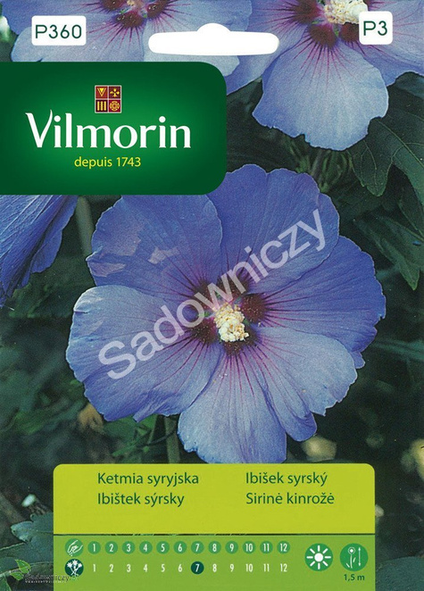 Ketmia syryjska Ślazowiec Hibiskus 0,5g