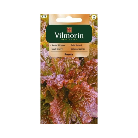 Sałata liściowa Rosela wczesna 1g