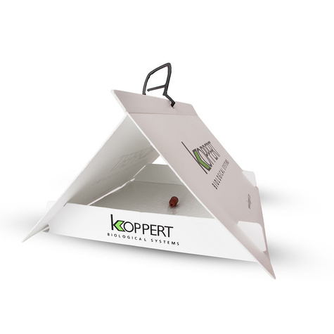 PHERODIS Helicoverpa armiger Feromon płciowy wabiący Słonecznicę orężówkę