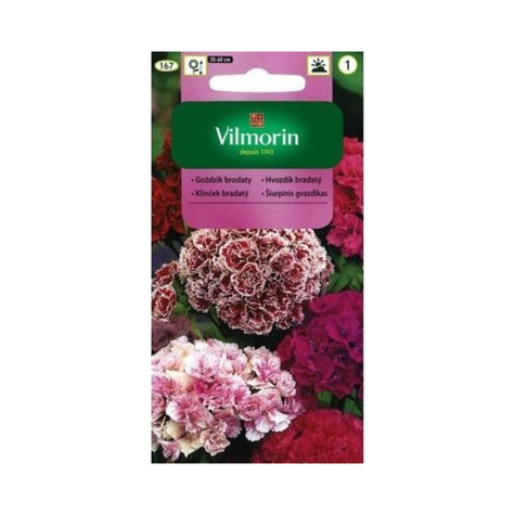 Goździk brodaty pełnokwiatowy mix 0.5g