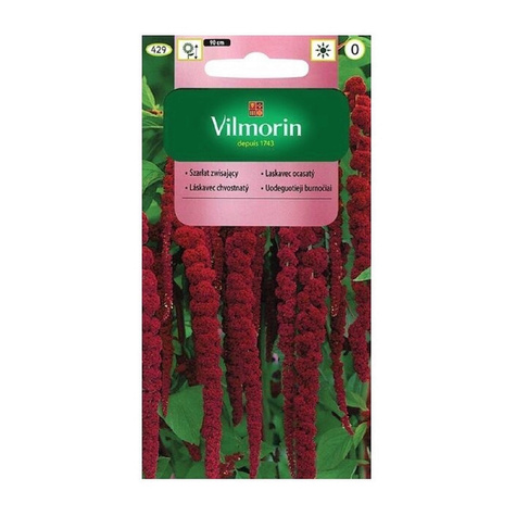 Amarantus, Szarłat zwisający 2g