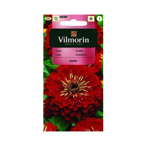 Cynia wytworna daliowa Jowita 1g