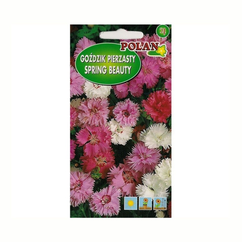 Goździk pierzasty mieszanka 0,3g