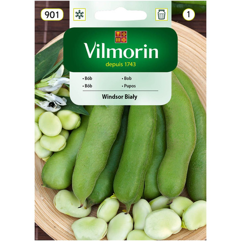 Bób Windsor Biały 40g