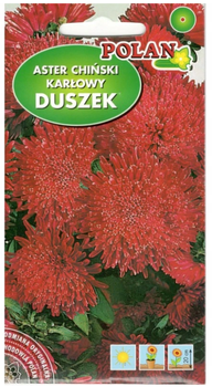 Aster karłowy DUSZEK AMARANTOWO-CZERWONY 1G
