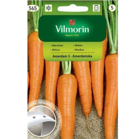 Marchew jadalna Amsterdam 3 Amsterdamska wczesna taśma nasienna 7m