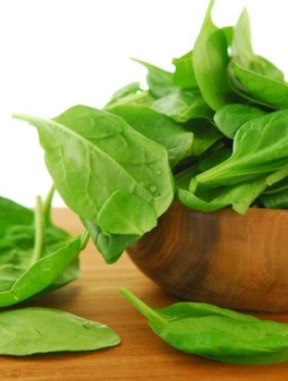 ZESTAW ALLEGRO Szpinak MATADOR 10g całoroczny