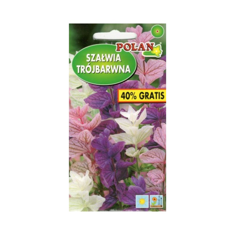 Szałwia trójbarwna zestaw kolorów 0,5+0,2g Polan
